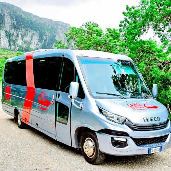 Transfer in Bus 9-20 Persone da Città di Palermo a: