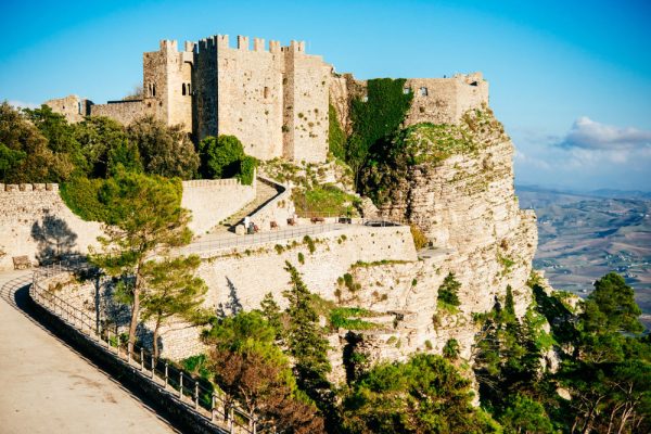 VISIT SEGESTA ERICE SALINE di TRAPANI Escursione da Palermo - immagine 6