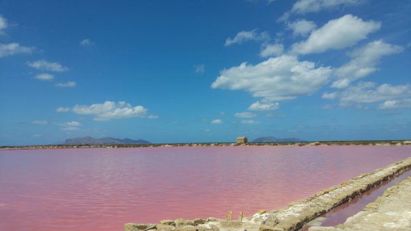 ISOLA LUNGA Riserva Naturale Orientata Isole dello Stagnone di Marsala - THE SALT EXPERIENCE - immagine 6