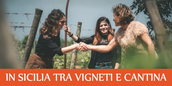 In Sicilia tra Vigneti e Cantina - Wine Tour e degustazione - immagine 4